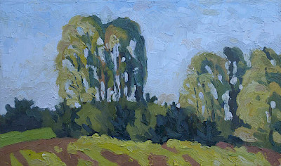 Birches near Himmelpfort